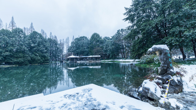 雪景