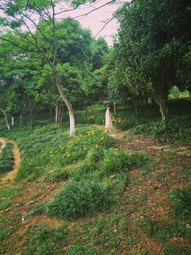 户外风景