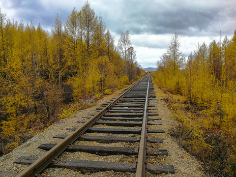 秋季森林铁路
