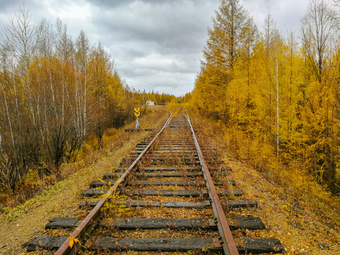 秋季森林伸向远方的铁路