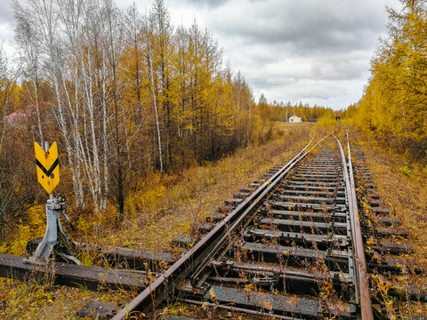 秋季森林铁轨