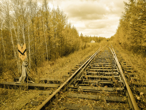 森林铁路道岔