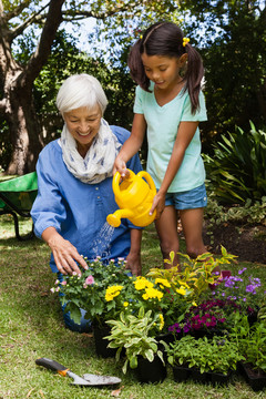 浇花的奶奶和孙女
