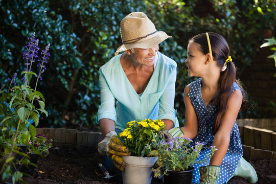 快乐的祖母和孙女种植花盆
