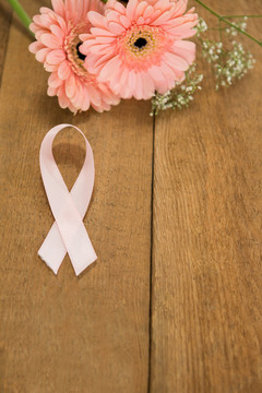 粉色乳腺癌意识丝带和非洲菊