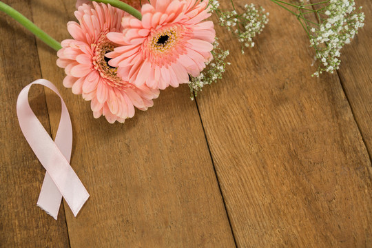 粉色乳腺癌意识丝带和非洲菊
