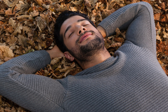 睡在秋叶上的人
