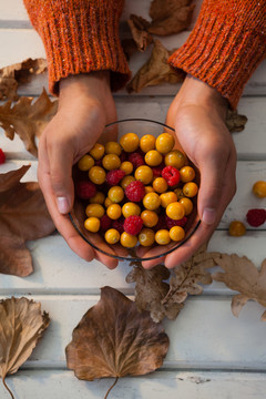 拿着一碗秋天浆果的女人的手