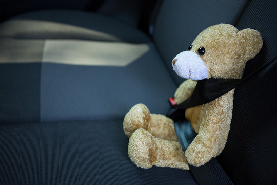 泰迪熊系在汽车安全带上