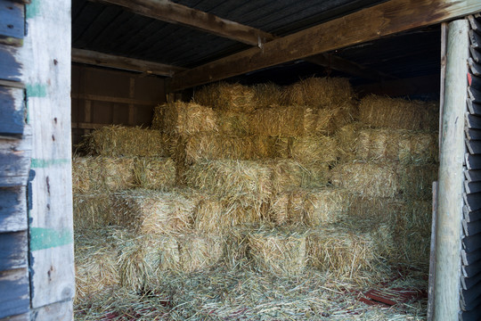 谷仓里的一堆干草