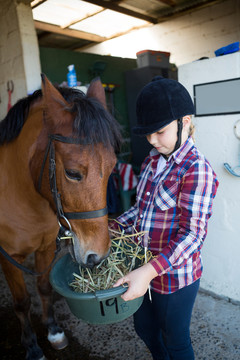 在马厩里喂马的女孩