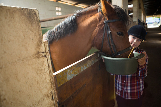 在马厩里喂马的女孩