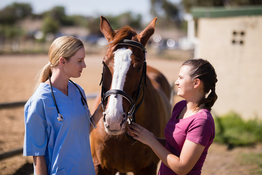 女兽医和看马的女人