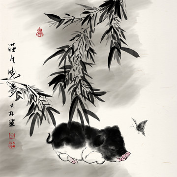 小猪宝