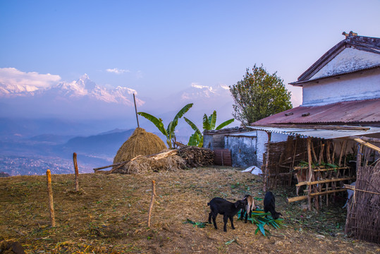 尼泊尔乡村