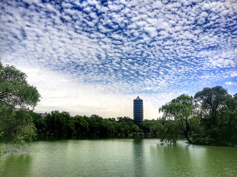 北京大学博雅塔和未名湖