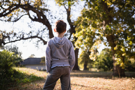小男孩站在森林里的树上