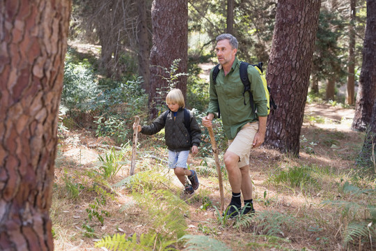 森林里徒步旅行的男孩和父亲