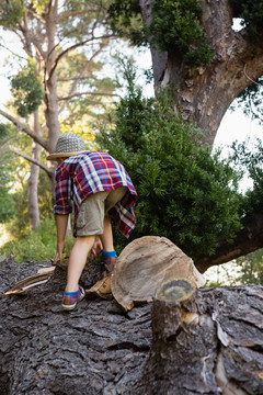 森林中男孩爬倒树干的后视图