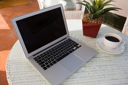 咖啡杯和盆栽植物的笔记本电脑