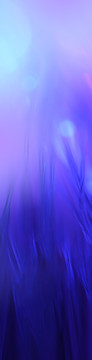 蓝紫色背景图