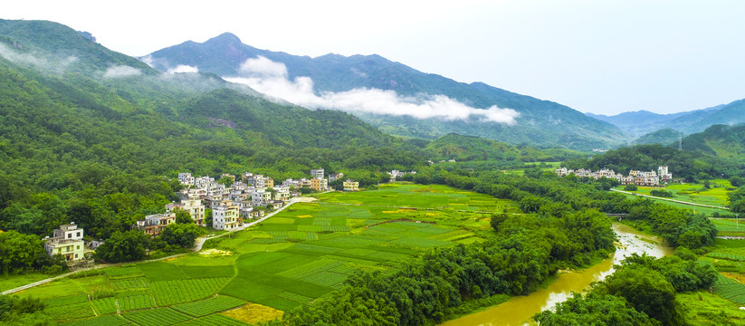 高山流云