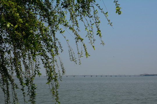 苏州澄湖特大桥