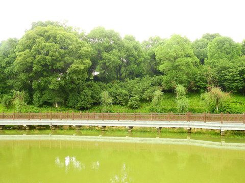 九江南山公园木桥