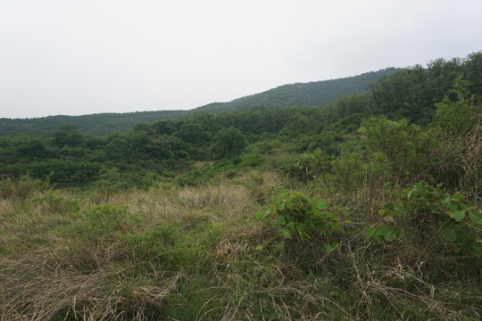 藏龙涧