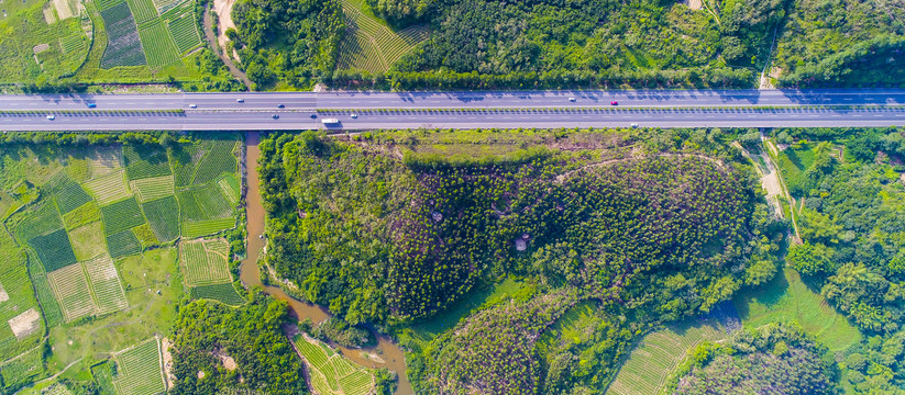 绿色公路