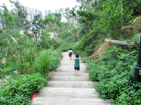 凤凰山