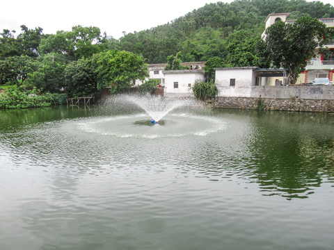 池塘