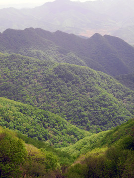 春色满群山