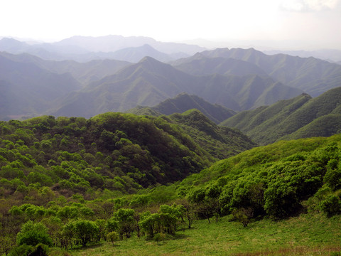 绿满重山