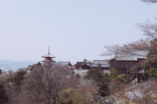 京都清水寺