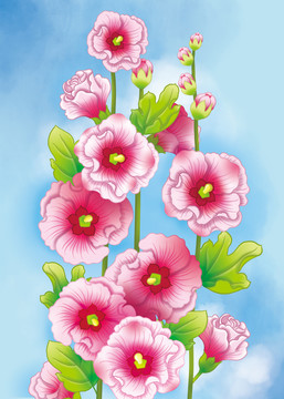 蜀葵花卉背景图片