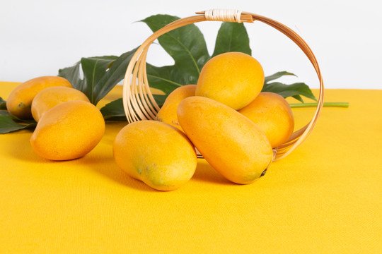 黄色纸板上放置的黄色小台芒芒果