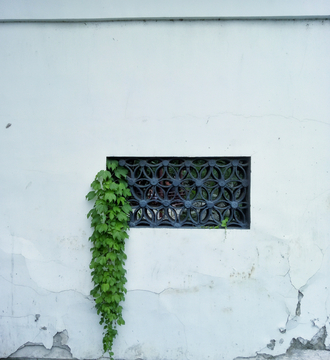 上海豫园 墙上花窗