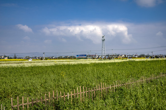 浙江兰溪岩头村万亩农田