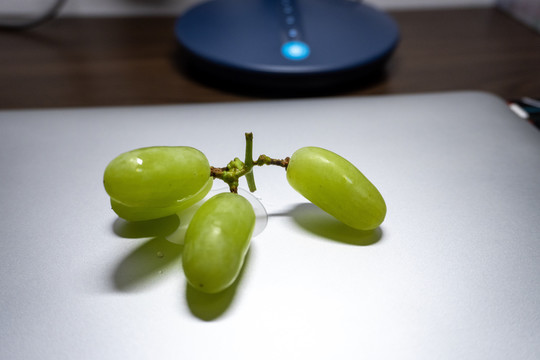 葡萄