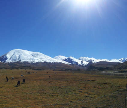 西藏风景风光