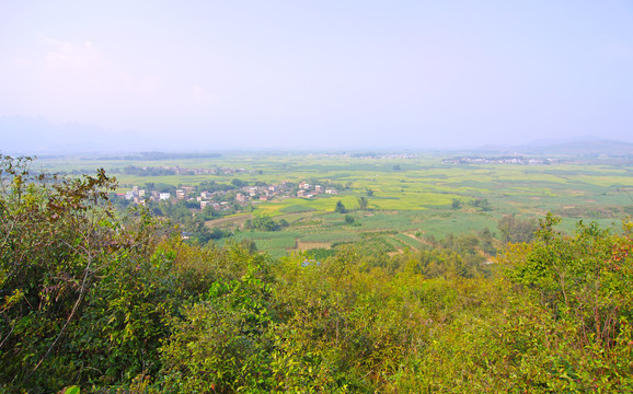 田园风光