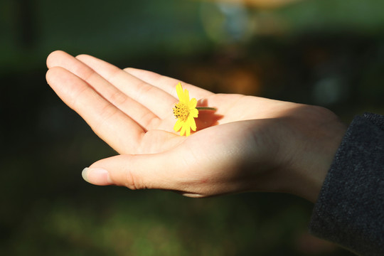 手捧花