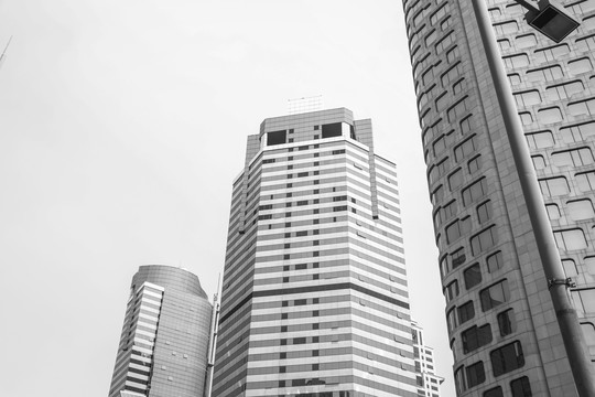 城市黑白建筑