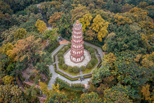 中山阜峰塔