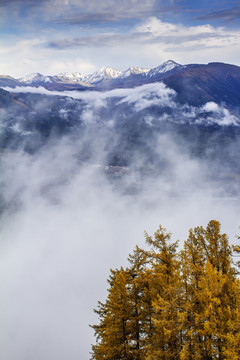 雪山之巅