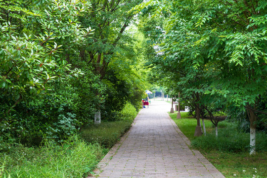 江苏常州春秋淹城遗址公园道路