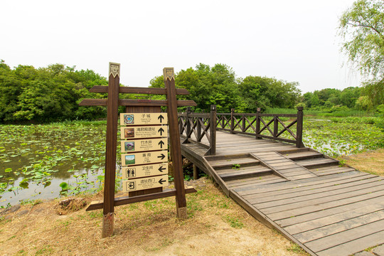 江苏常州春秋淹城遗址子城木桥