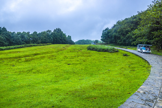 菌子山风光
