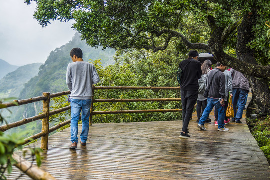 菌子山风光